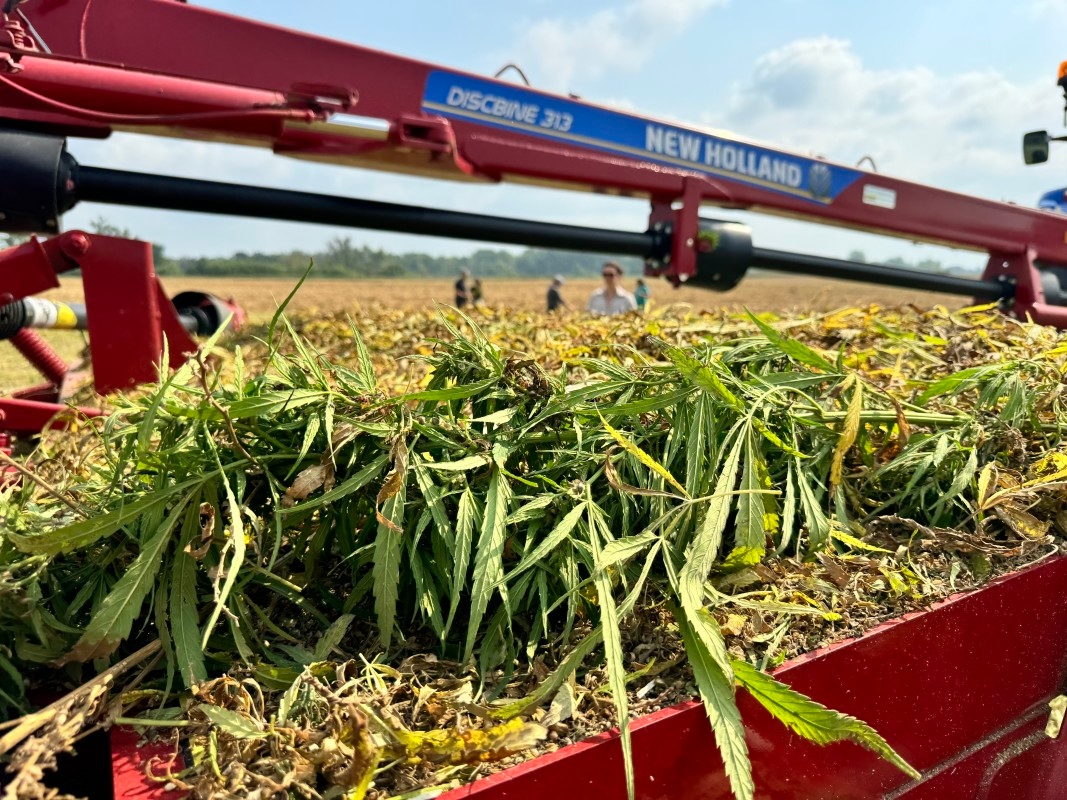 The Lower Sioux Tribe is investing in industrial hemp to help combat a housing shortage.