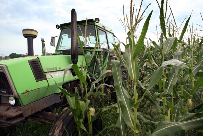 Indiana among top states for cover crop adoption
