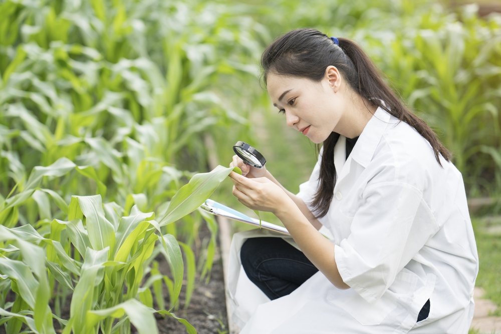 Bunge Global (BG) Divests North America Dry Corn and Masa Milling Business