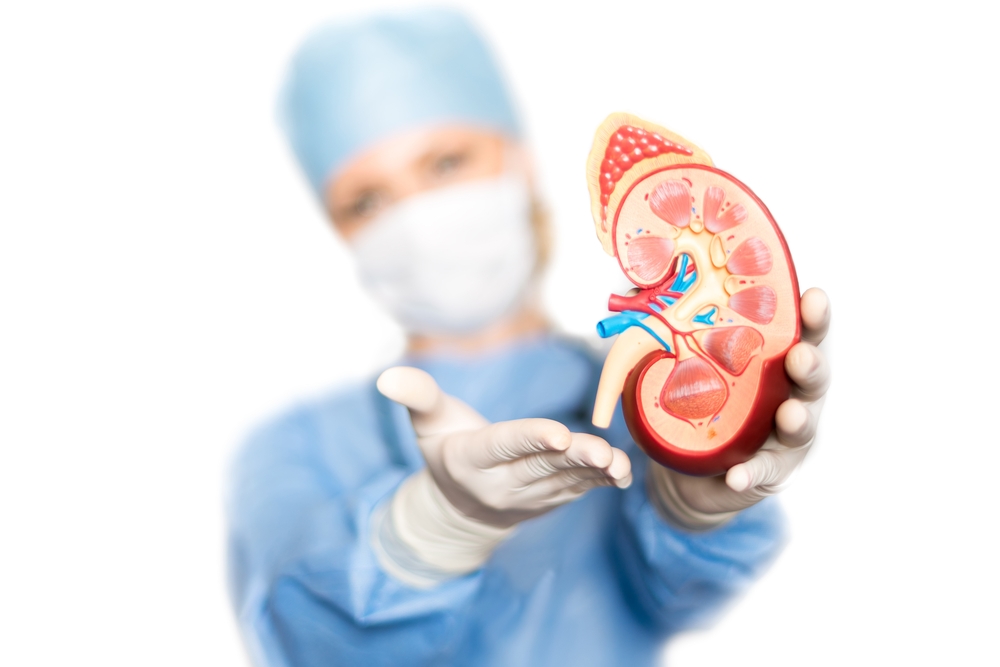 Akebia Therapeutics (AKBA) Grants Stock Options to New Employees