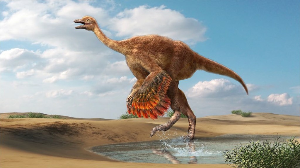 Dino disco: 100-million-year-old giant courtship arena discovered in Colorado