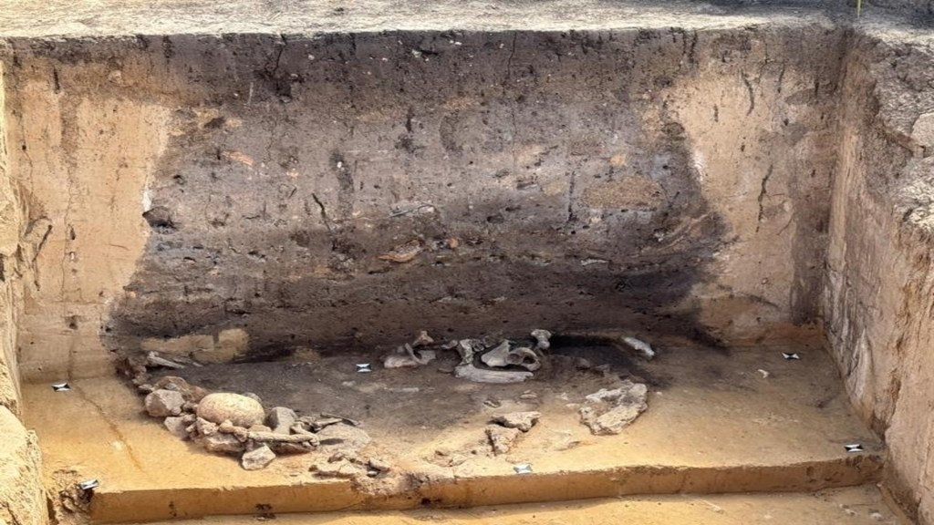 5,000-year-old pits discovered in Germany reveals haunting Neolithic secrets