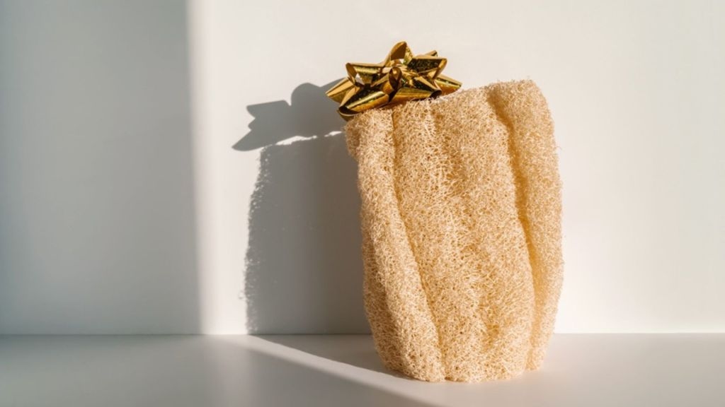 Scientists develop loofah-based polymer stronger than plastic, lighter than foam