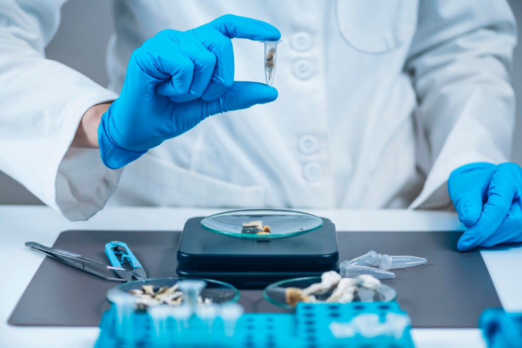 Iowa lawmaker who supports medicinal mushrooms cheers veto of psilocybin bill