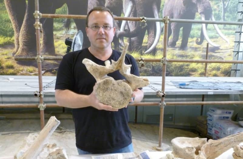 Prehistoric humans may have used fire to smoke meat one million years ago, study suggests