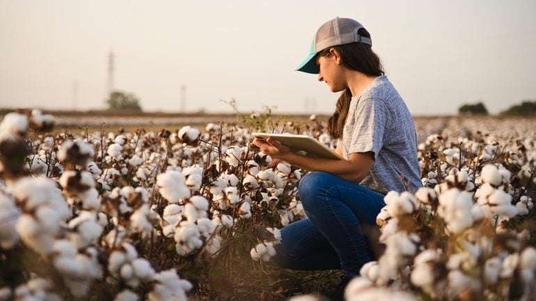 US retail, cotton sectors back amendment to One Big Beautiful Bill