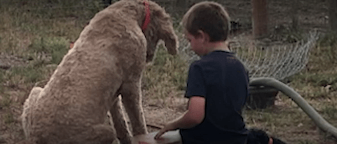 Two dogs disappear, were found after being killed according to Larimer County family