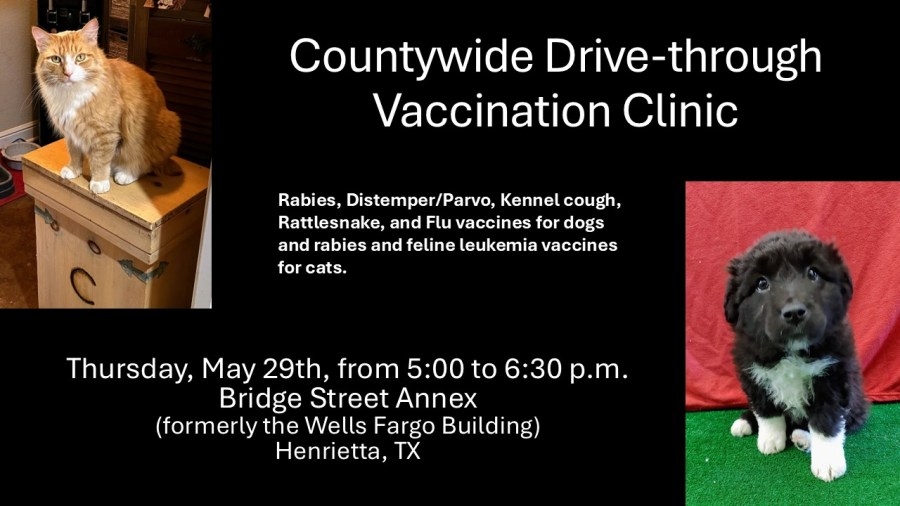Clay County hosts drive-thru pet vaccine clinic in Henrietta