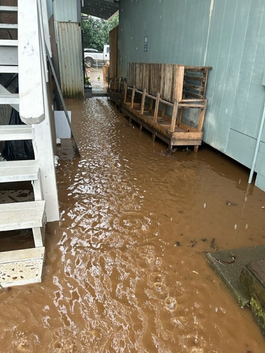 Backed up Waiahole stream sparks flooding and bridge safety fears
