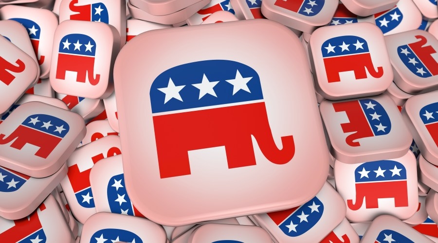 ‘They were ready for change': Clark County GOP elects new chair Jill Douglass