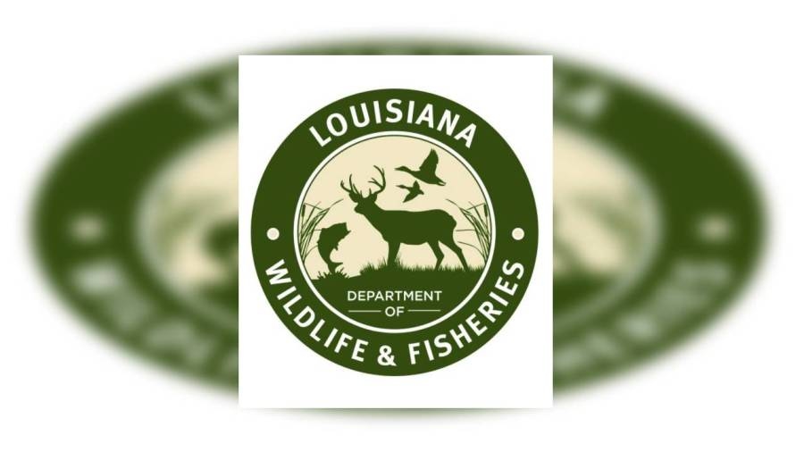 Lake Charles man dies in Jeff Davis Parish boating accident