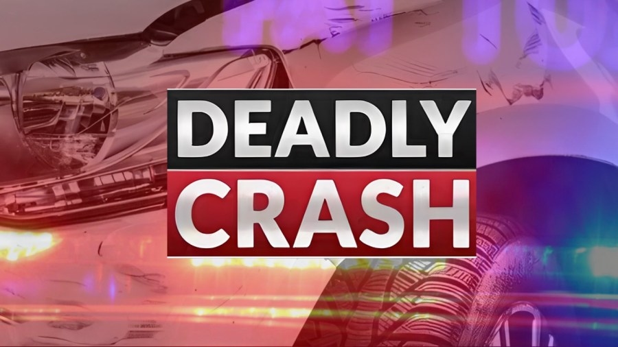 DPS: Rear-end collision with semi leaves woman dead in Gaines County