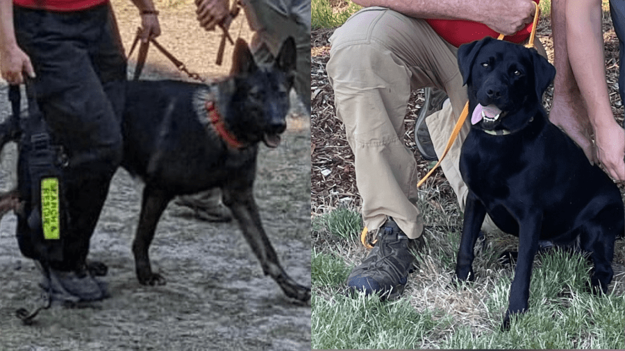Oregon K9 teams to aid in search for missing Texas flood victims