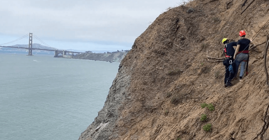 Tourists who dropped phone rescued from scenic San Francisco cliff