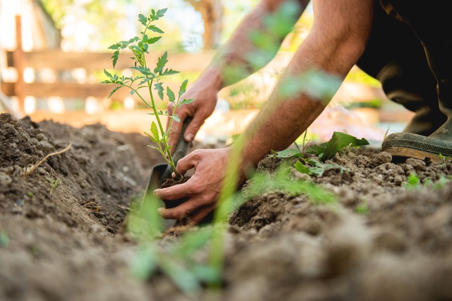 ‘Ground Up Garden Stewardship Program' returns to Santa Fe Teen Center