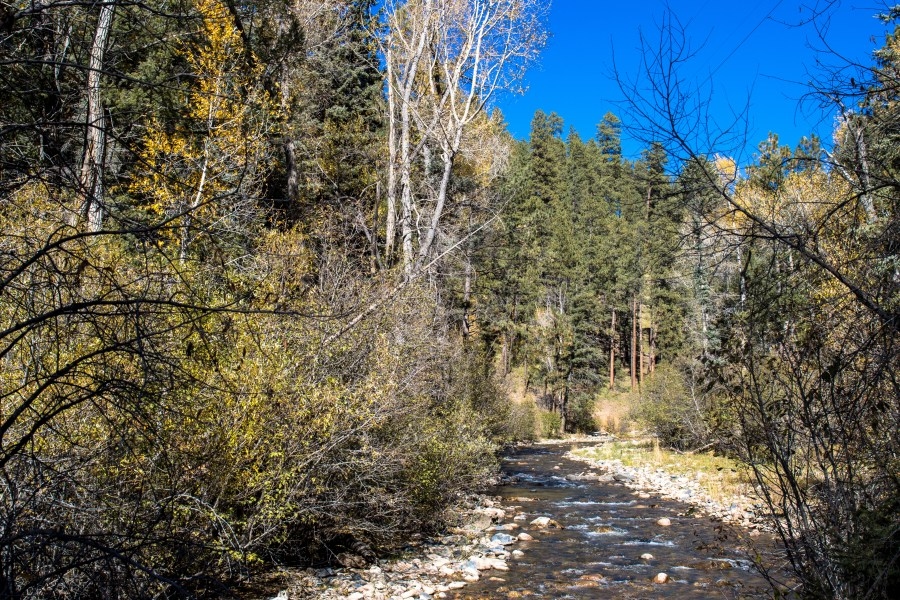 Plan to sell public lands withdrawn, New Mexico leaders react