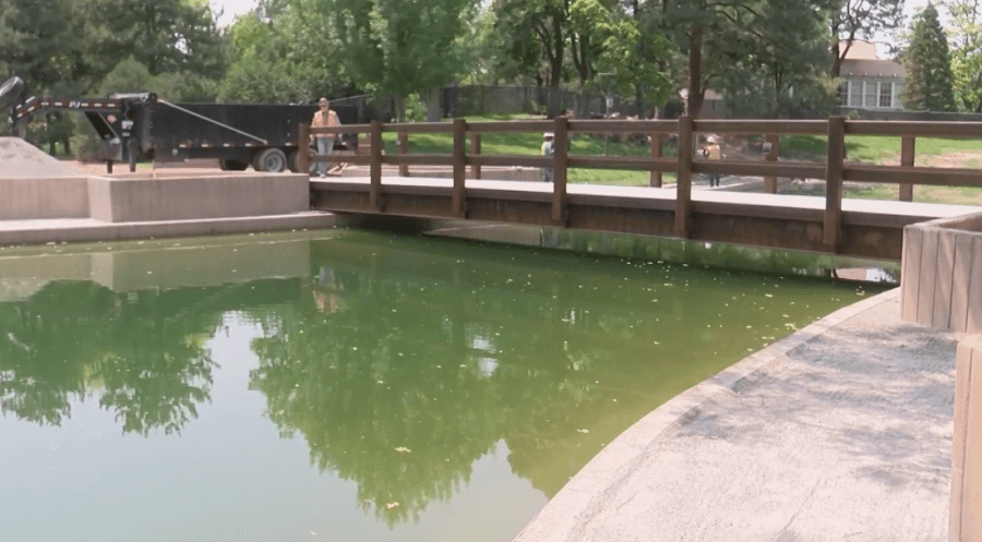 UNM duck pond to reopen soon