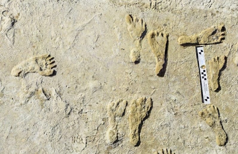 Recent study supports dates of early human footprints at White Sands National Park