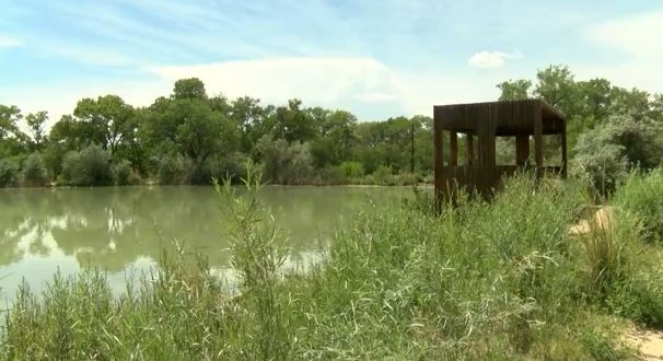 Illegal fishing and dead animals reported at nature preserve ponds near Tingley Beach