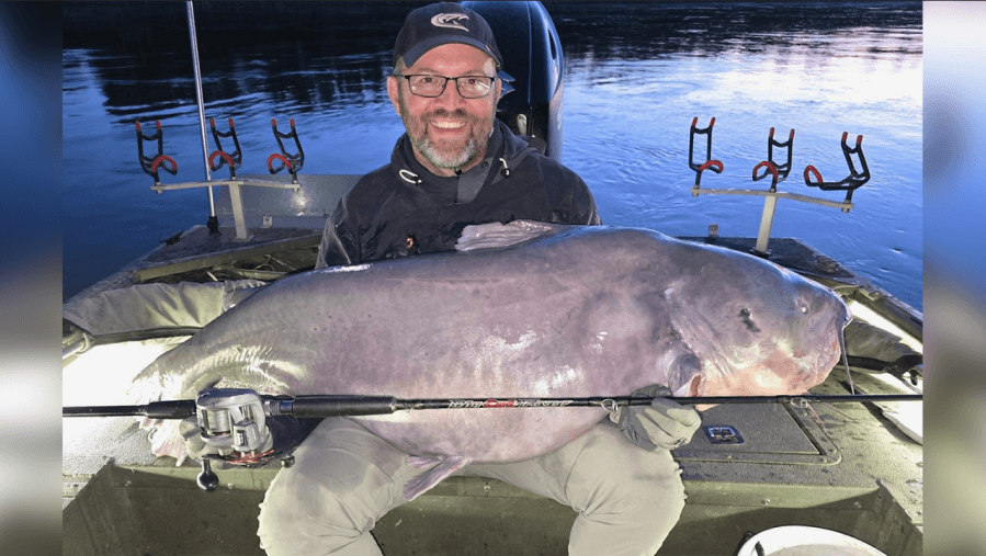 ‘This is a true giant': Man breaks Kansas blue catfish record with 121-pound Missouri River monster