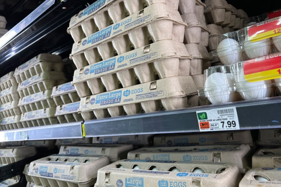Trump administration sues California over cost of eggs