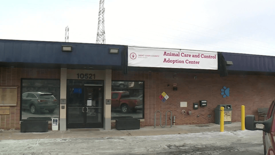 Veterinary director at St. Louis County Animal Care & Control resigns