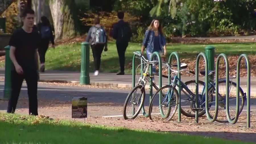 Dozens around the region lose student visas