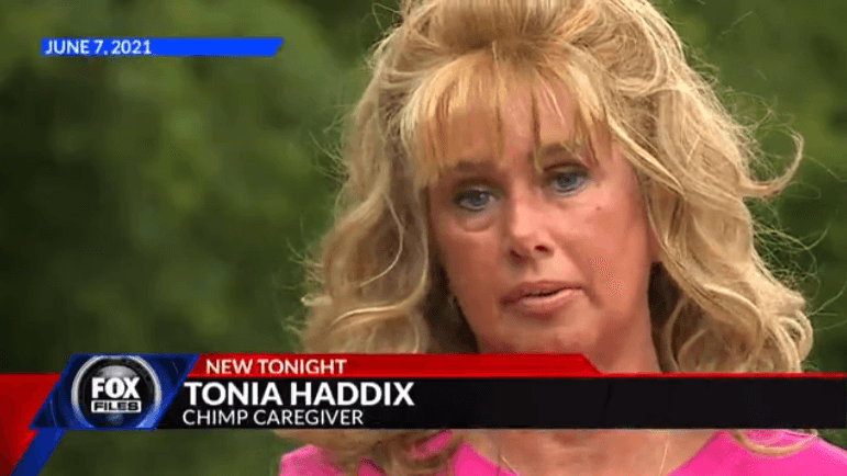 Tonia Haddix found to be hiding another chimp