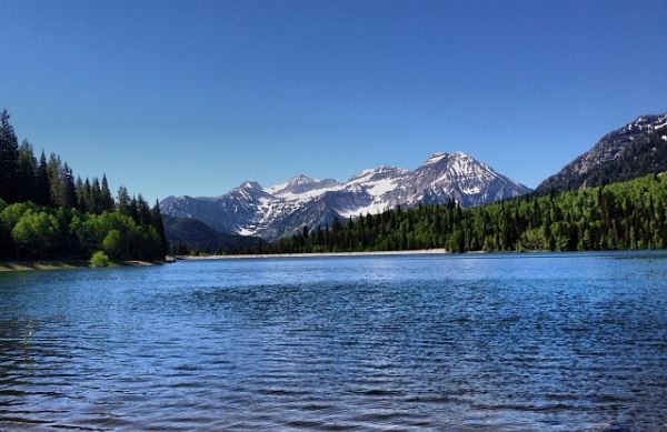 Search for missing man at Silver Lake Flat in American Fork Canyon