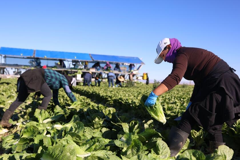 U.S. farm economy is starting to see first hits from Trump tariffs