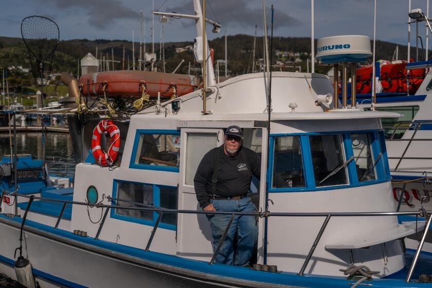 Recreational salmon fishing resumes in California this weekend for limited time