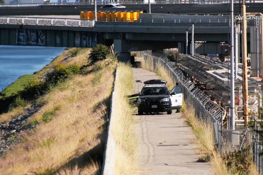 2 adults and a 4-year-old are pulled from the L.A. River. Another adult and a dog don't make it