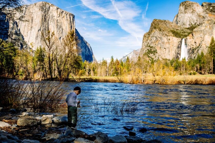 Amid staff cuts and budget chaos, more than 700 national park employees take buyout