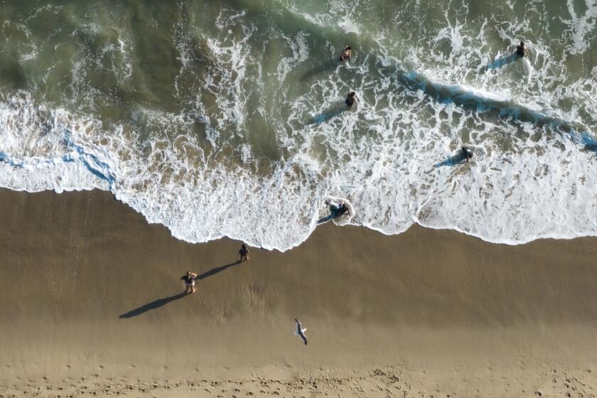 Go to the beach, just don't get wet. Bacteria warnings issued ahead of July 4th at 8 beaches