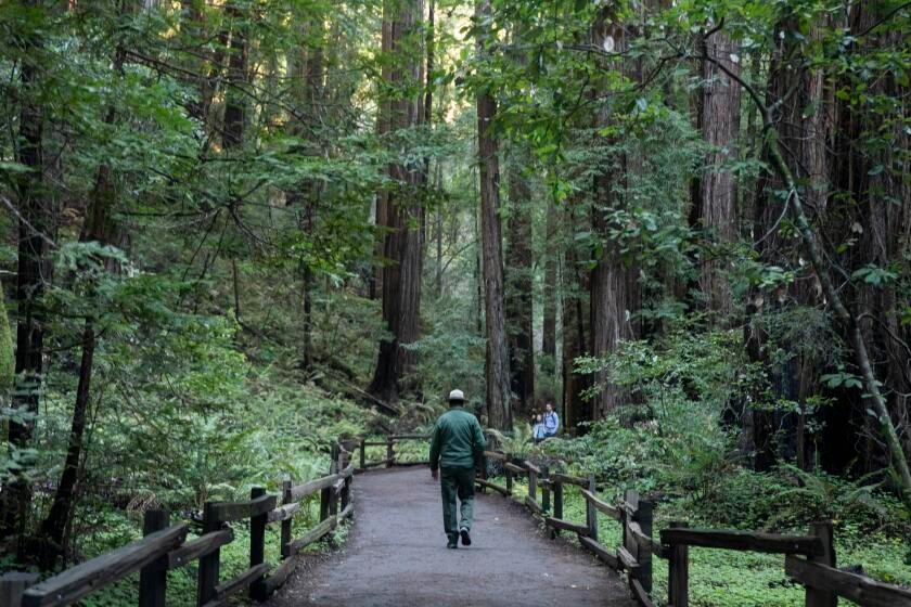 Trump ordered purge of 'unpatriotic' signage from national parks. How one California spot complied
