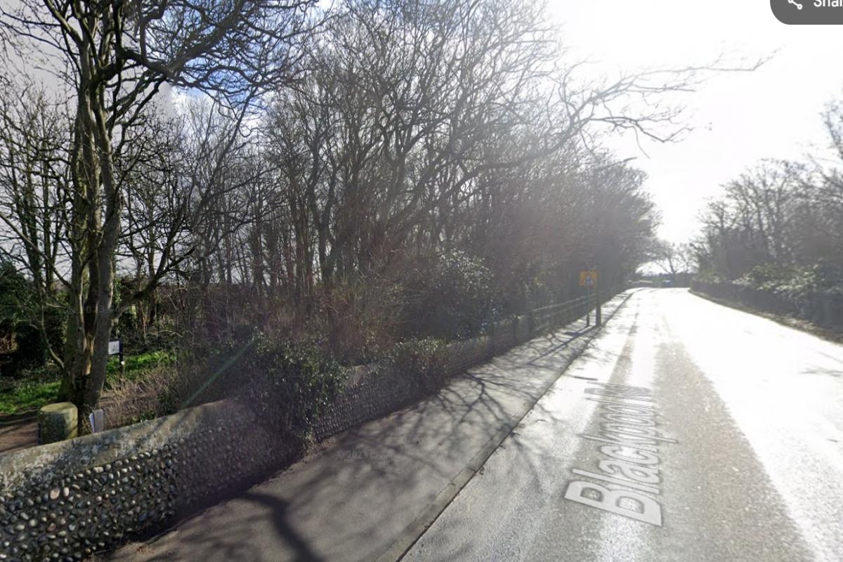 Man threatened pensioner, in 80s, demanding money and wallet in woods