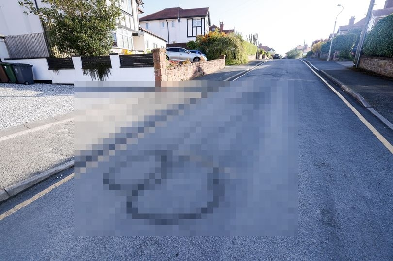 Quiet side street becomes talk of the town after what appeared on road