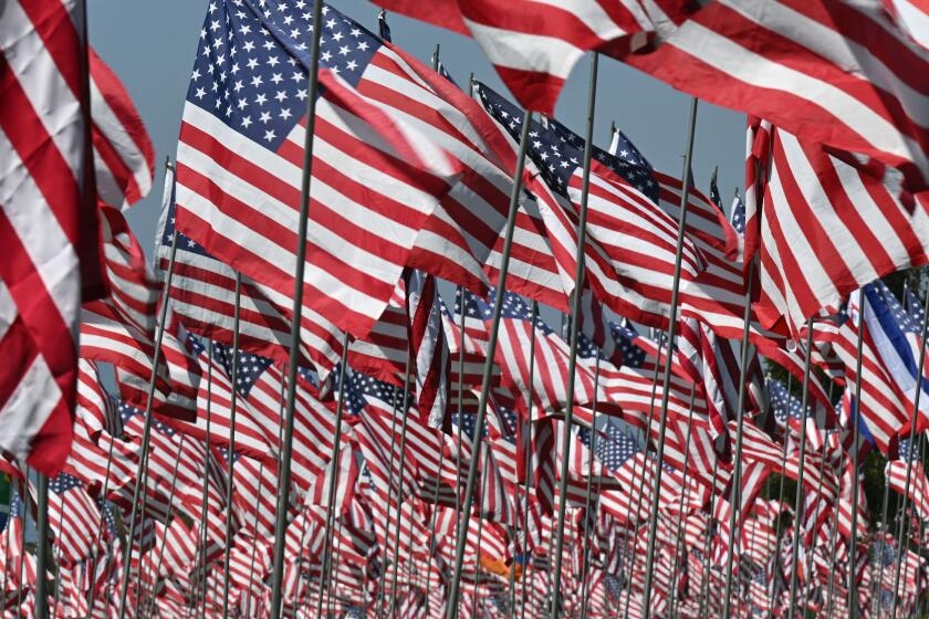 Contributor: A refresher course in American truths