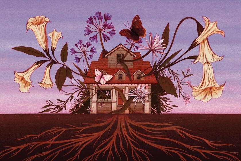 Contributor: My last garden