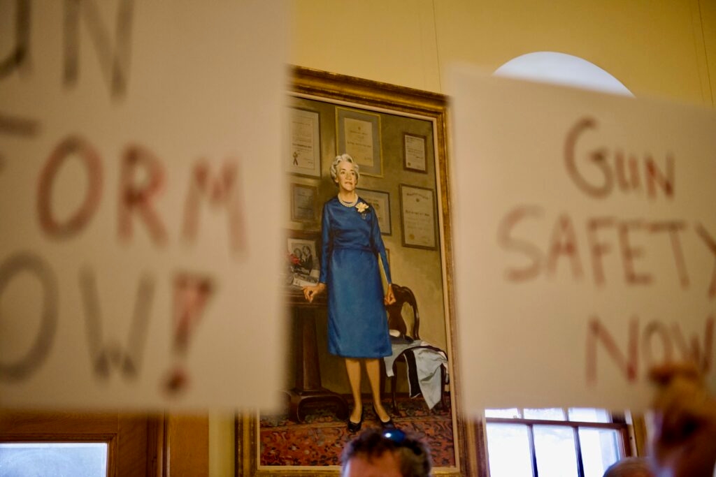 Red flag law citizen initiative officially valid to appear on November ballot