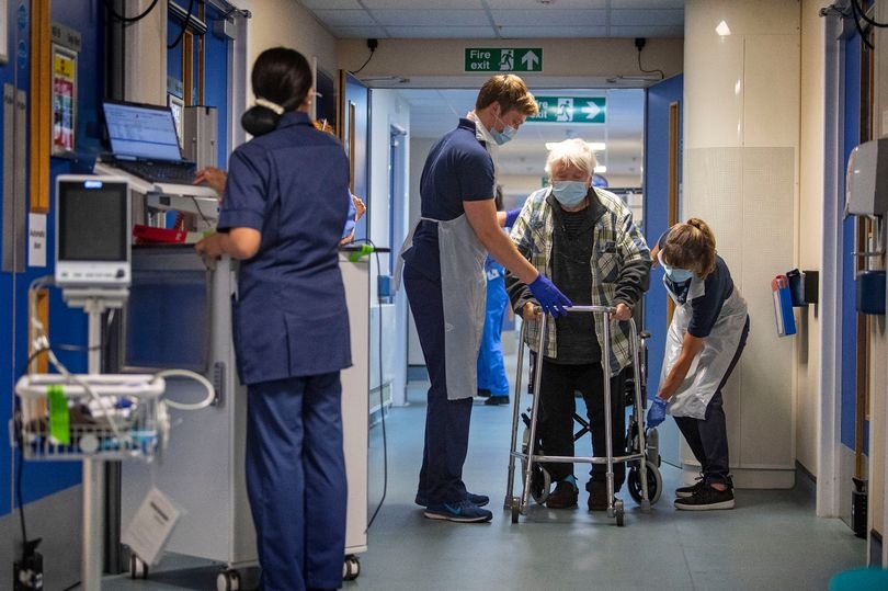 Workers may be unknowingly spreading 'deadly hospital superbugs' with common habit