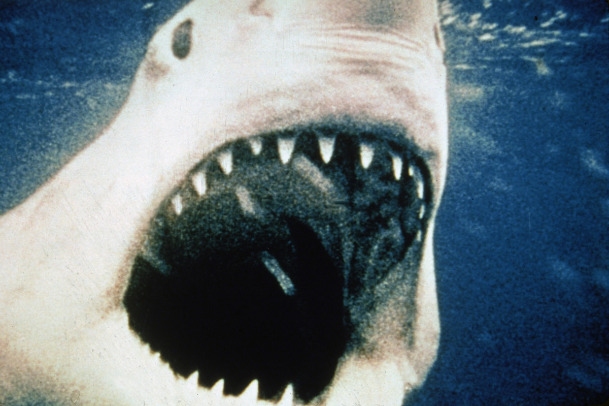 Iconic ‘Jaws' Movie Poster Has 1 Major Mistake