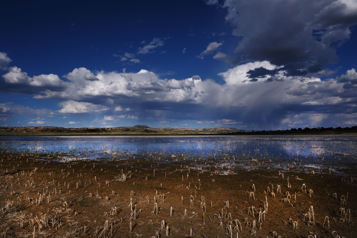 Toxic Discovery in U.S. Lake Sets Off Global Alarm