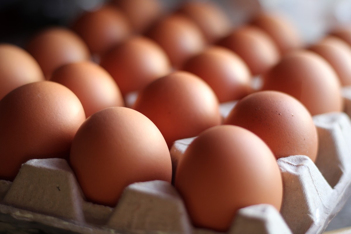 FDA Confirms One Dead After Massive Egg Recall