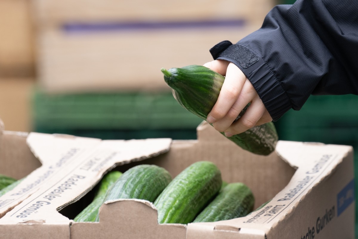 Salmonella Outbreak Linked to Cucumbers Spreads to 18 States