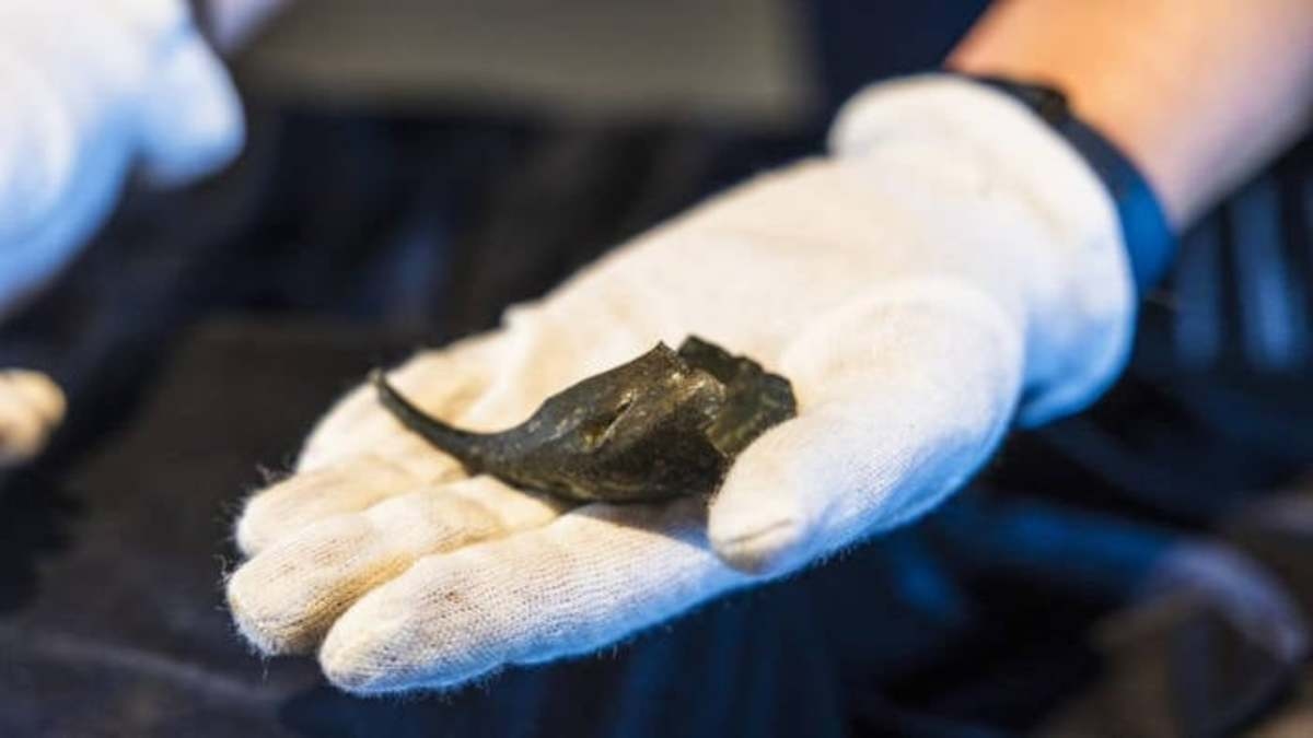 Archaeolgists Find Roman Soldier's Purse with 'Logistical Cash'