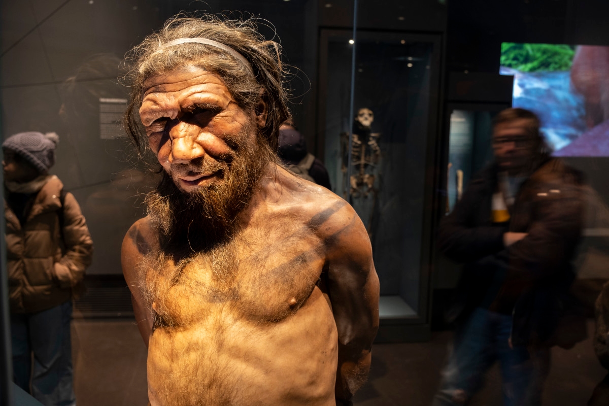 Archaeologists Announce Major Neanderthal 'Fat Factory'