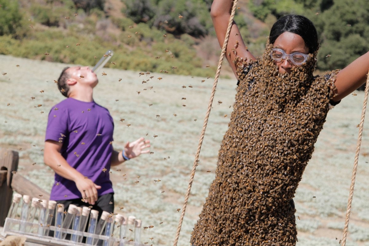 Fear Factor Rebooted With a Twist, and Johnny Knoxville at the Helm