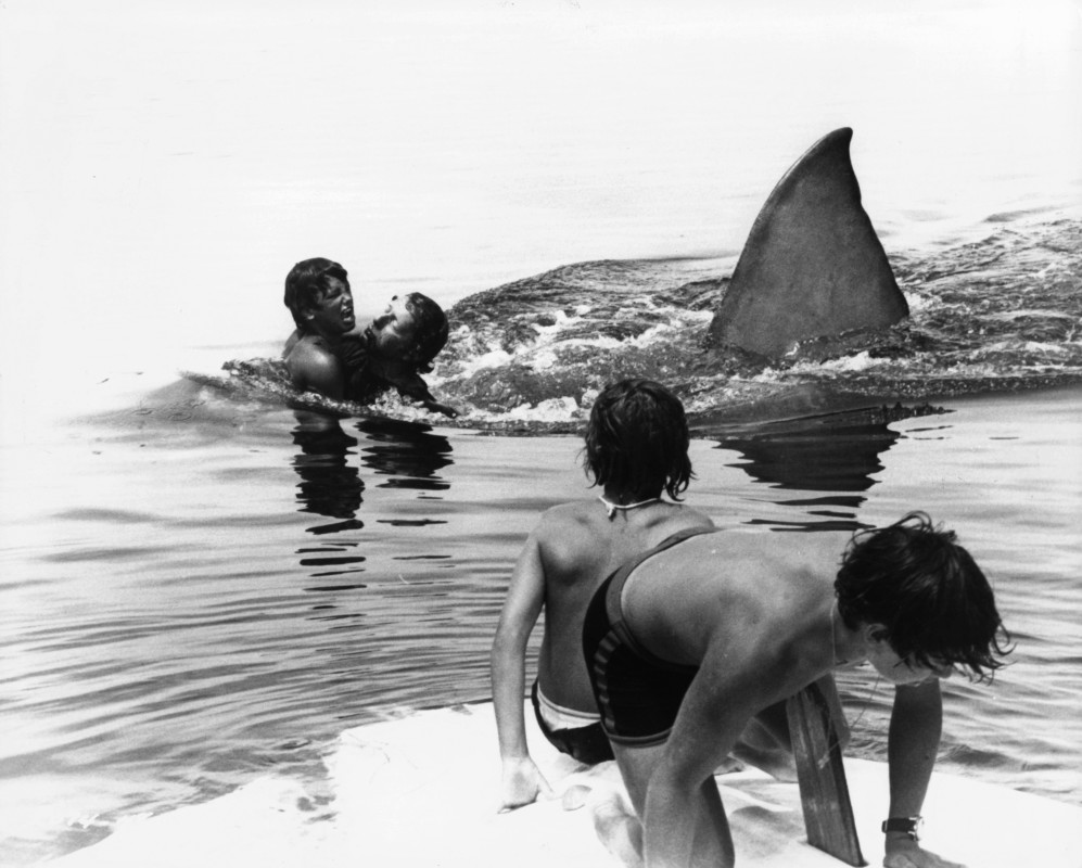 'Jaws' Child Actor Jay Mello Was Terrified For Years After Filming Key Scene in 1975 Film