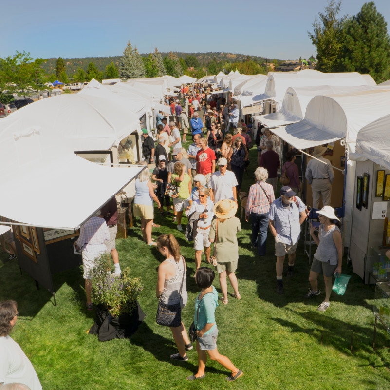 Drunk Driver Causes Chaos at Outdoor Art Show
